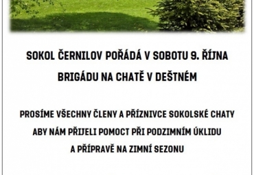 Brigáda na chatě v Deštném