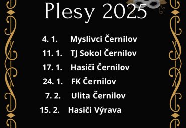 Přehled plesů 