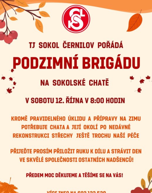 Podzimní brigáda 