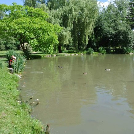 Dvoreček 16.6.2015 Výlet do Častolovic