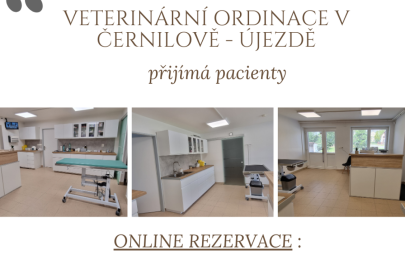 Veterinární ordinace pro malá zvířata