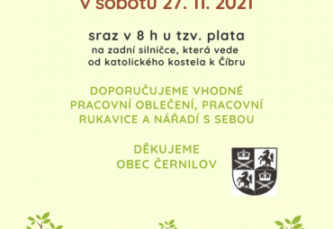 Sázení nových stromů v Černilově 27. 11.<br>